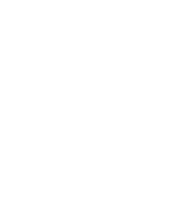 Team Spirit logo